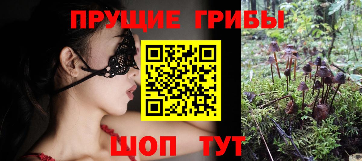 Псилоцибиновые грибы мухоморы  Вход с VPN  Комсомольск-на-Амуре  Галлюциногенные грибы Magic Shrooms 